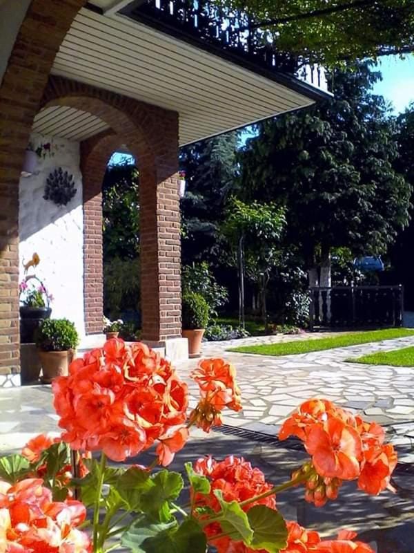 Sobe Randelj Apartment in Rijeka