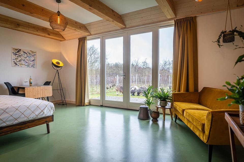 Wijngaard de Kroon van Texel Bed and Breakfast in De Koog