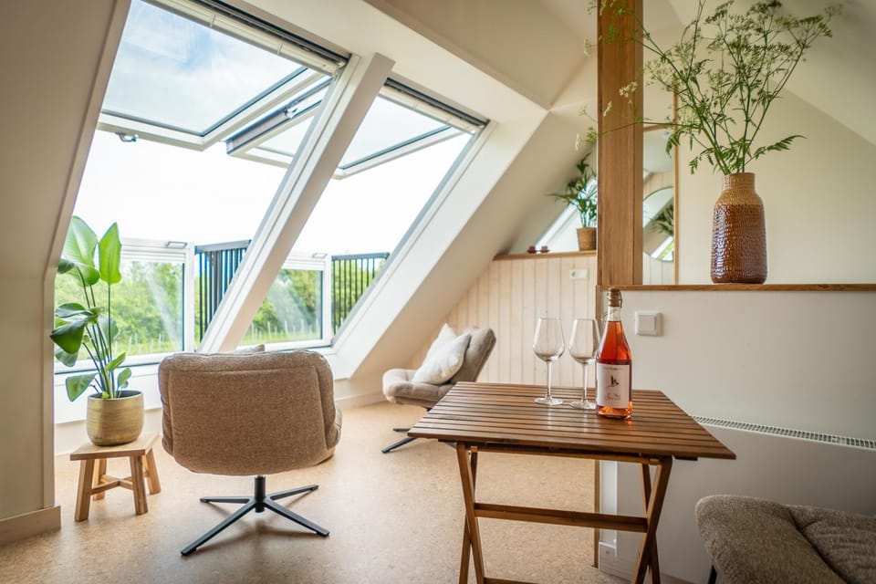 Wijngaard de Kroon van Texel Bed and Breakfast in De Koog