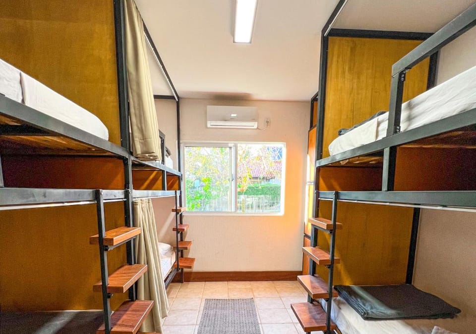 bunk bed