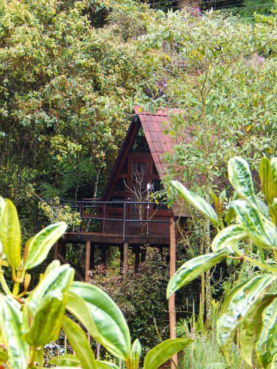 Chalets en Santa Elena en medio del Bosque House in Antioquia
