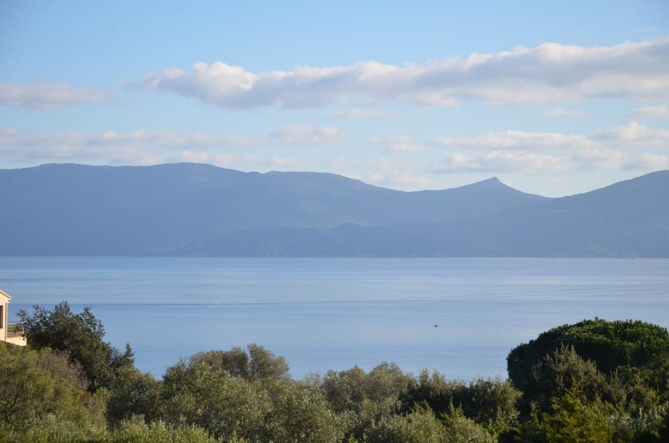 View (from property/room), Area and facilities