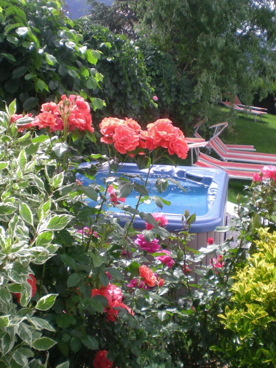 Garden, Swimming pool