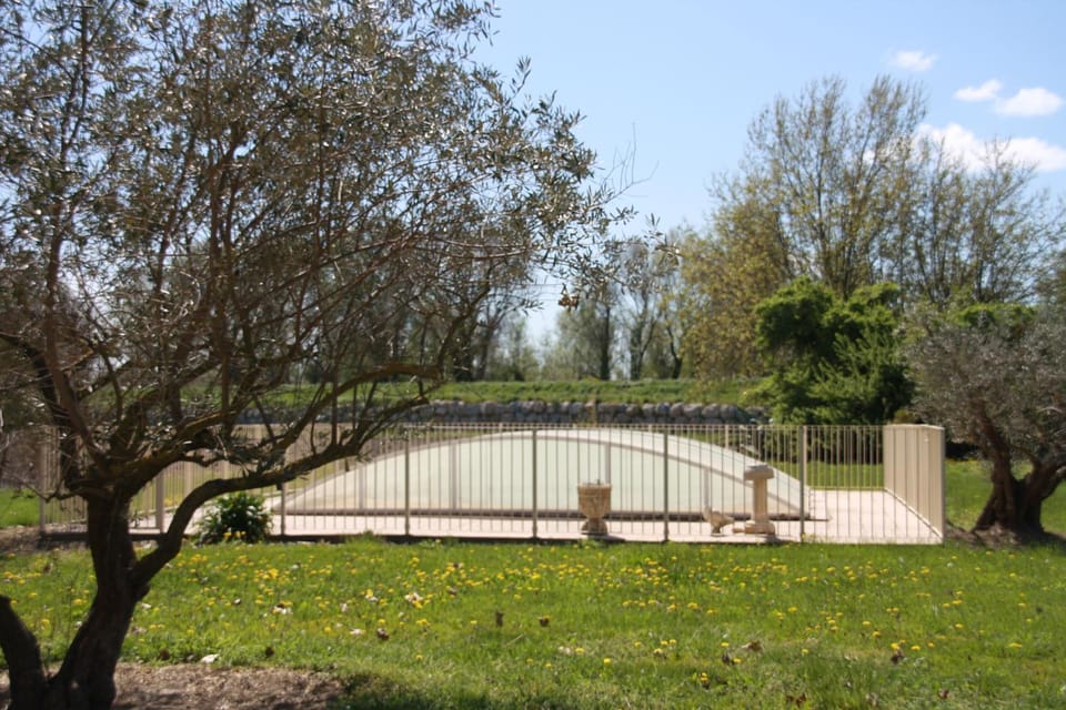 Swimming pool, Swimming pool