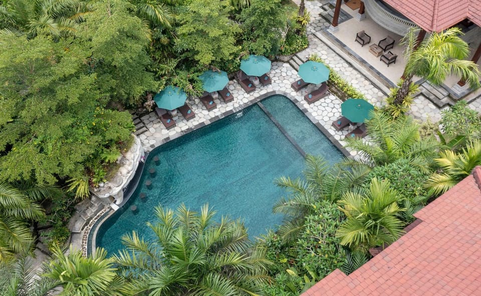Spring, Garden, Garden view, Pool view, Swimming pool, sunbed
