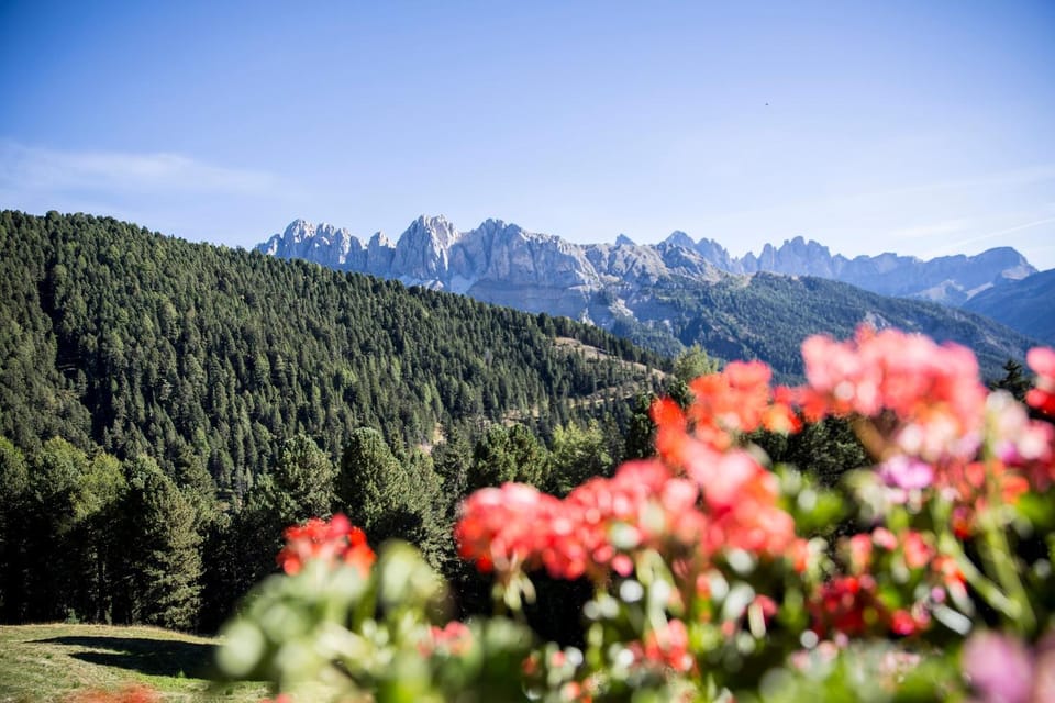Day, Natural landscape, Mountain view