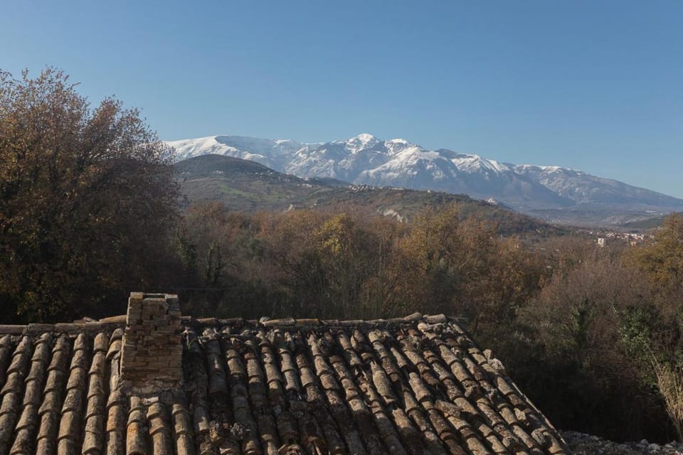 View (from property/room)