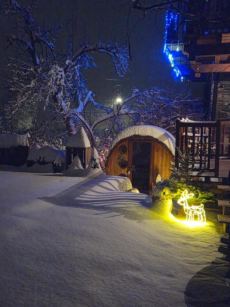 Chalet d'Heïdi Chalet in La Plagne-Tarentaise