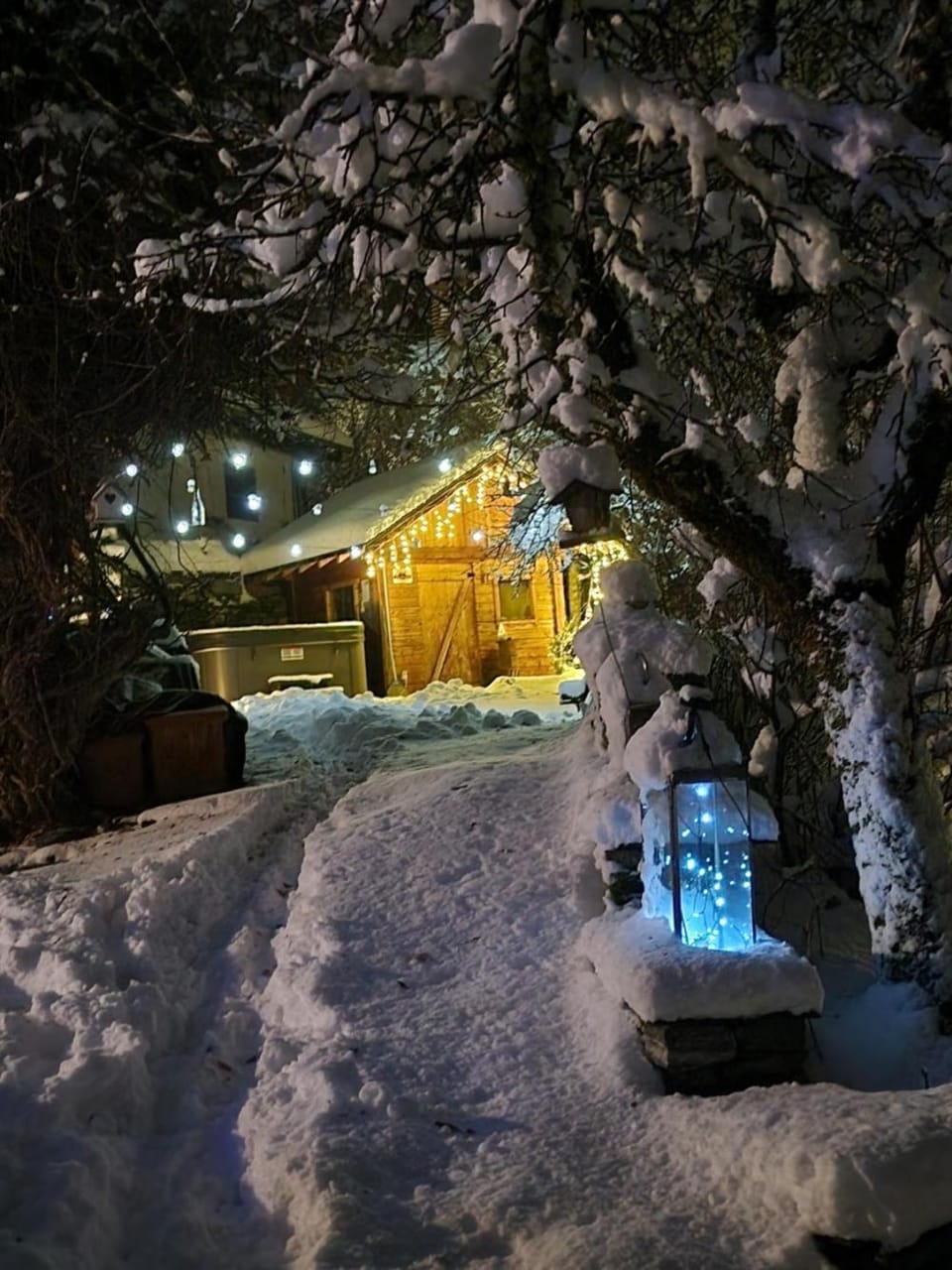 Chalet d'Heïdi Chalet in La Plagne-Tarentaise