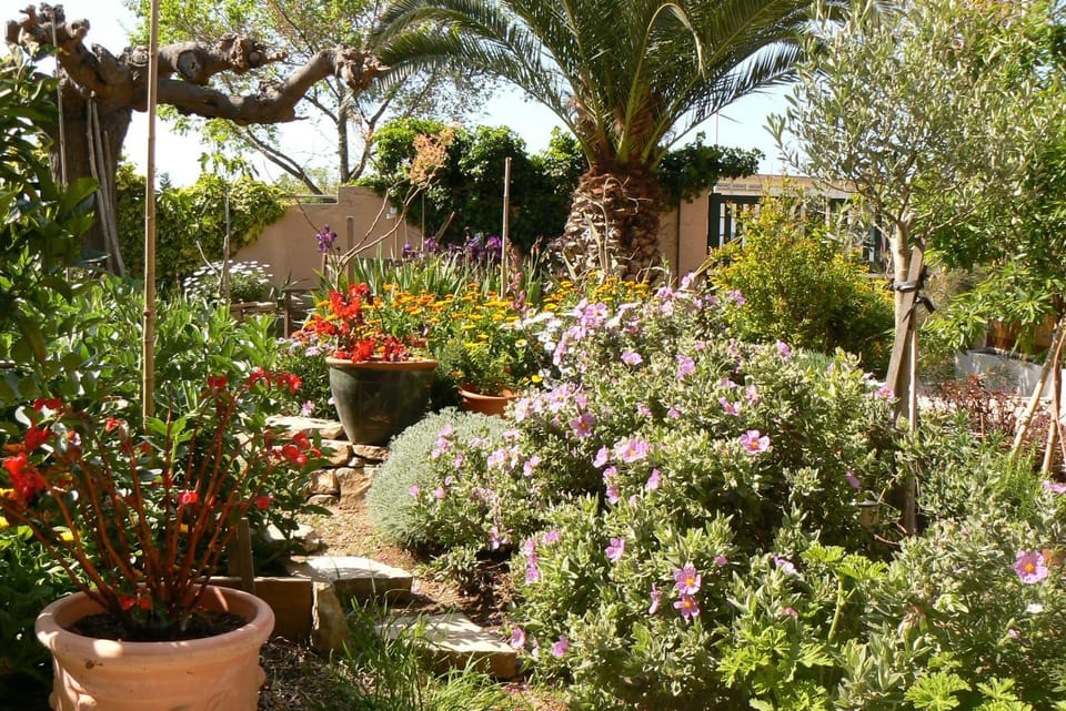 Garden view