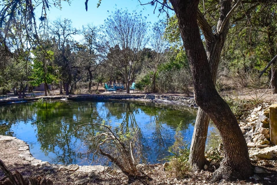 Serene Hill Country Wildlife Sanctuary with Porch House in Boerne