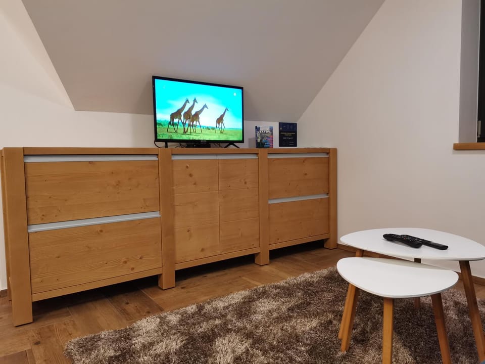 TV and multimedia, Living room