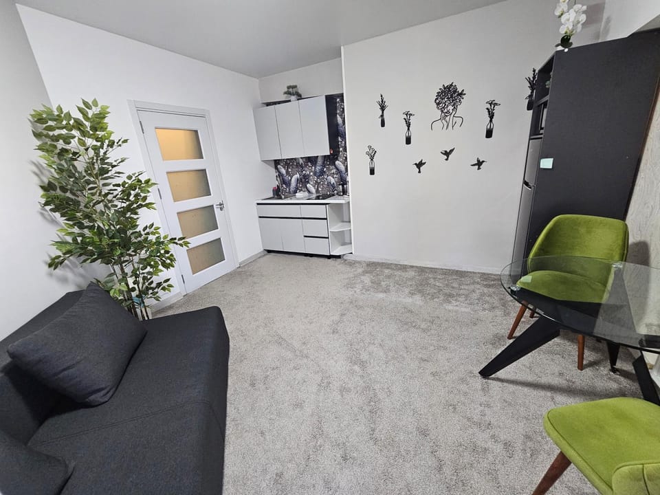 apartament with terras Apartment in Chișinău