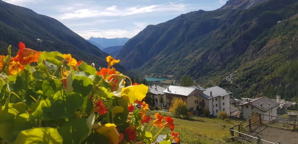 Neighbourhood, Natural landscape, Hiking, Mountain view