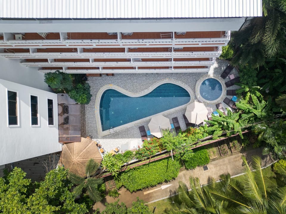 Day, Garden, Garden view, Pool view, Swimming pool, Swimming pool, sunbed