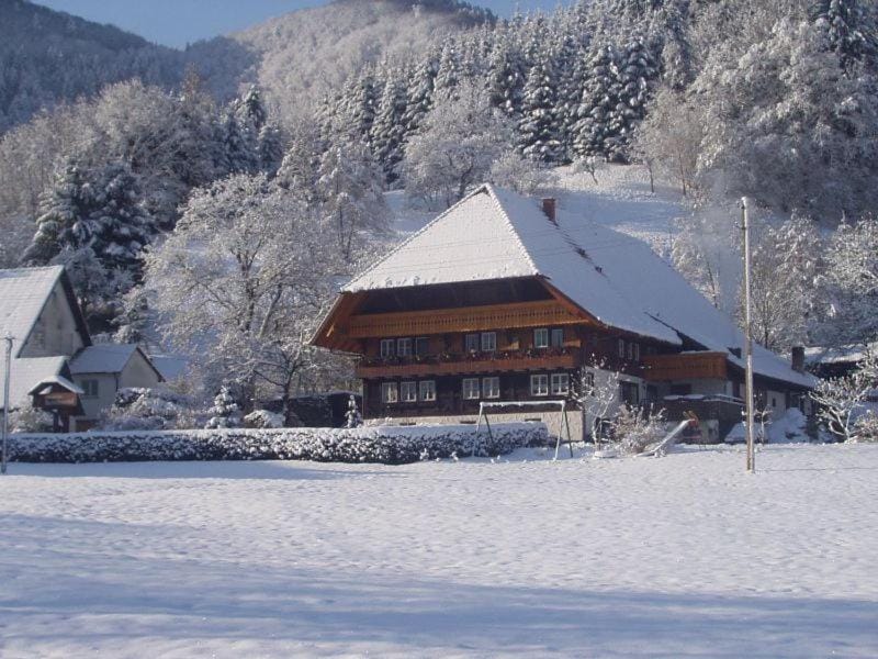 Property building, Winter