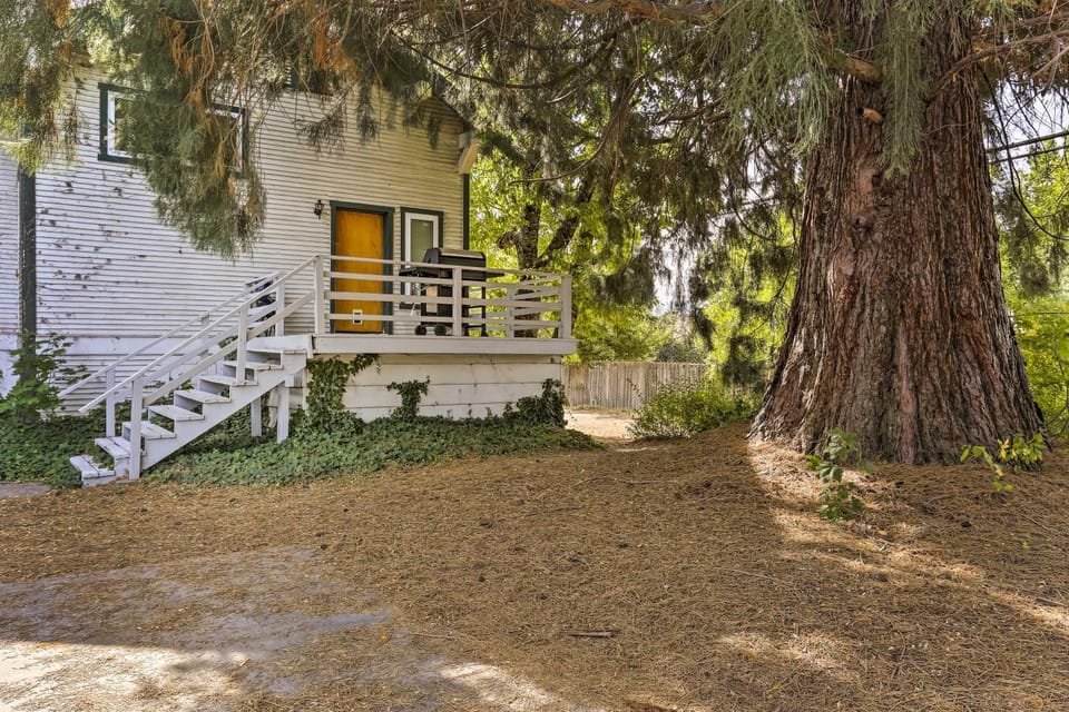 Cozy Studio Near Hiking & Skiing, Walk to Downtown Apartment in Mount Shasta