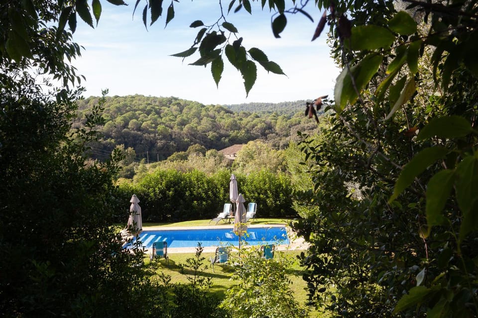 Nearby landmark, Spring, Day, Natural landscape, Garden, Garden view, Mountain view, Pool view, Swimming pool, sunbed
