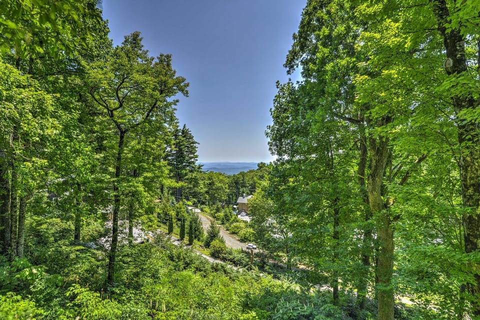 'La Petite Chalet' w/ Blue Ridge Mountain Views! House in Mitchell County