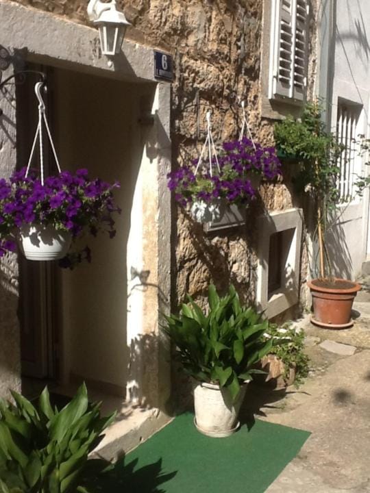 Apartments Senko Apartment in Dubrovnik-Neretva County