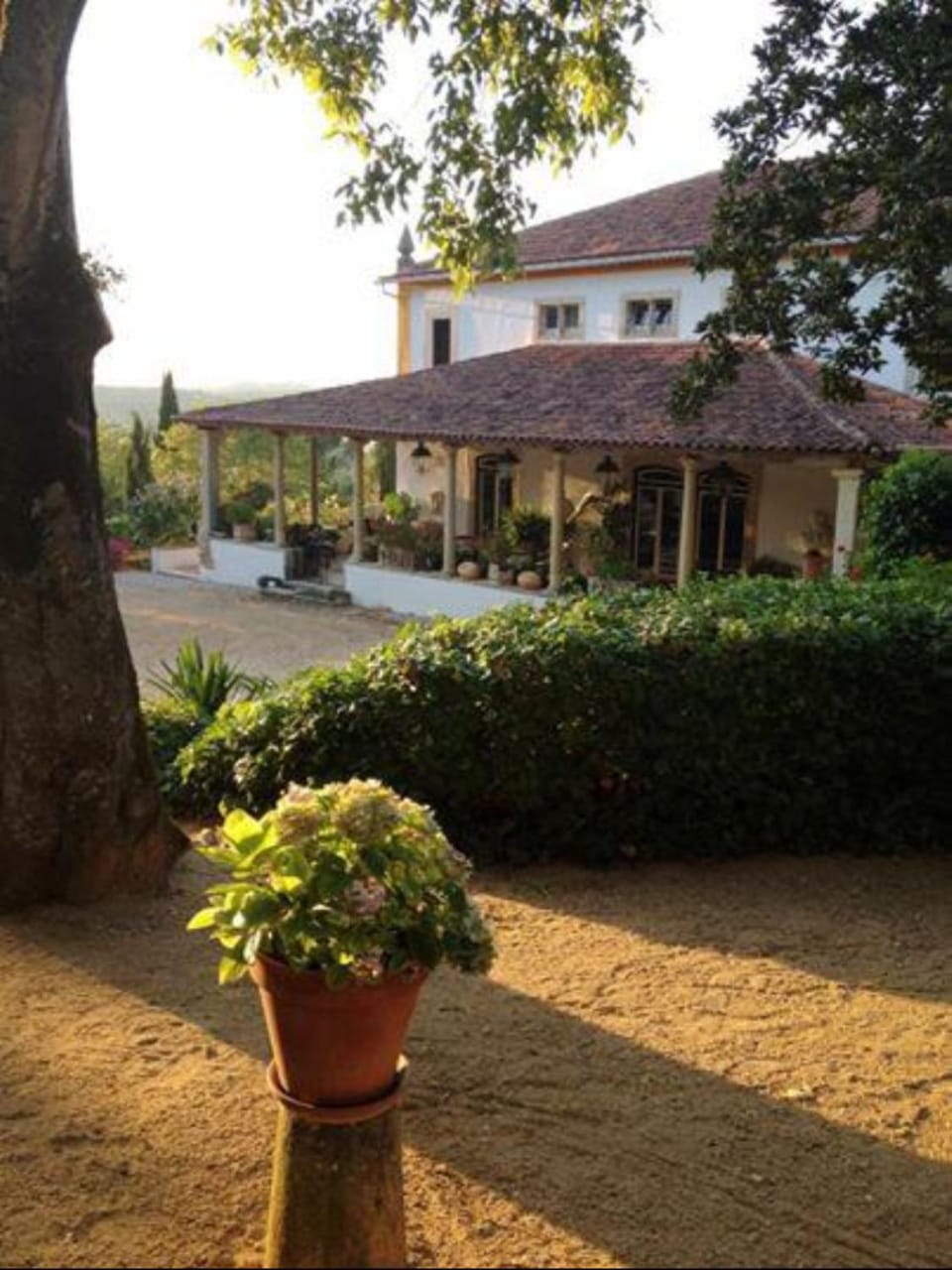 Property building, Garden view