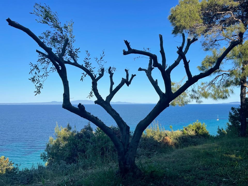 Amazing Place Villa in Halkidiki