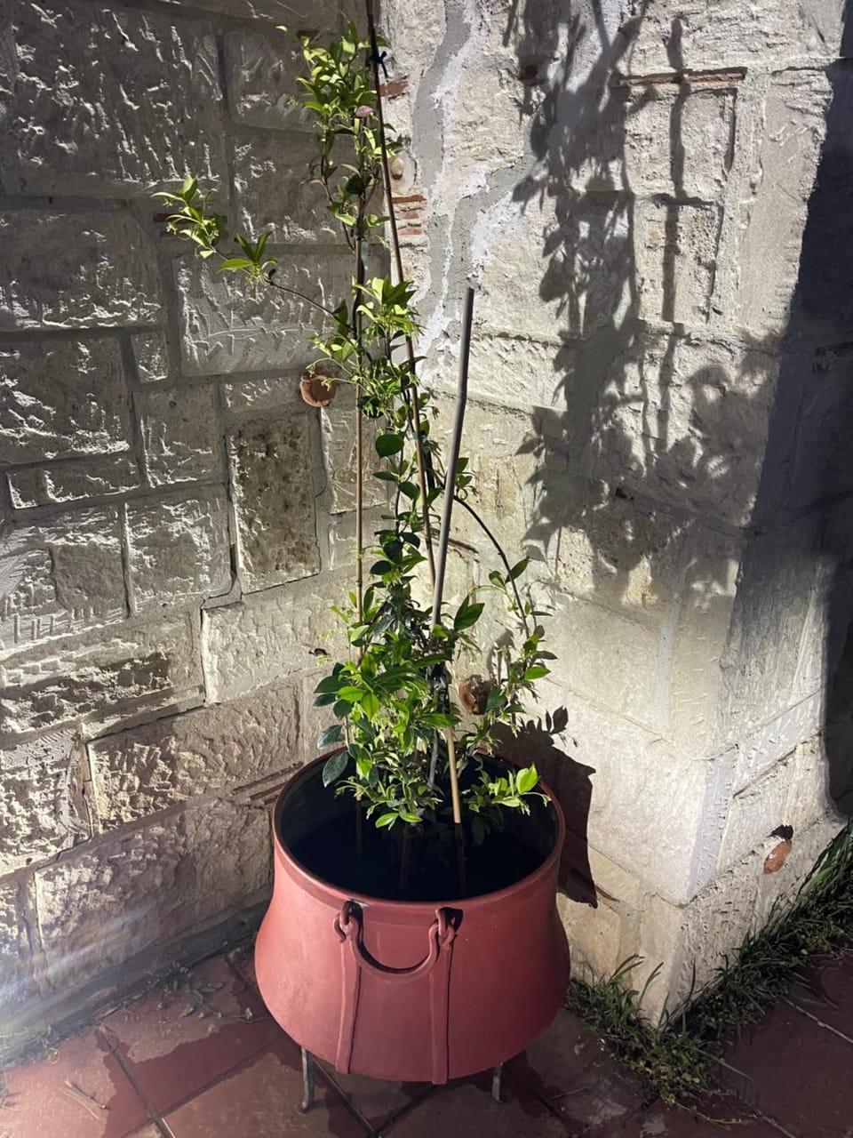 Amazing Place Villa in Halkidiki