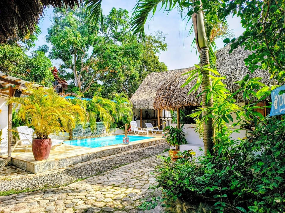 Day, Garden view, Swimming pool, sunbed