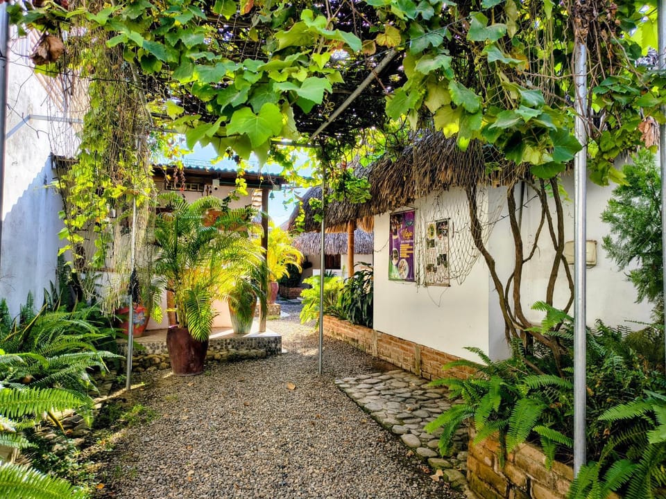 Facade/entrance, Garden