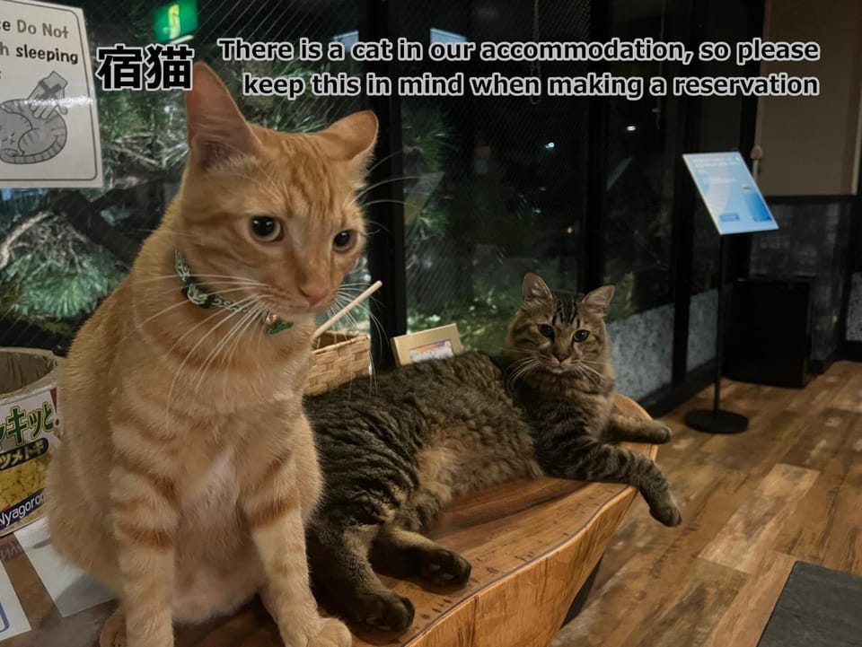Lobby or reception, Animals, Text overlay, Pets