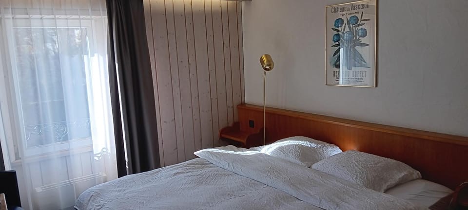 Hotel Restaurant Le Giétroz Hotel in Bagnes