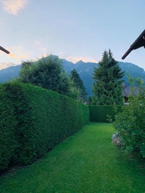 Property building, Garden view