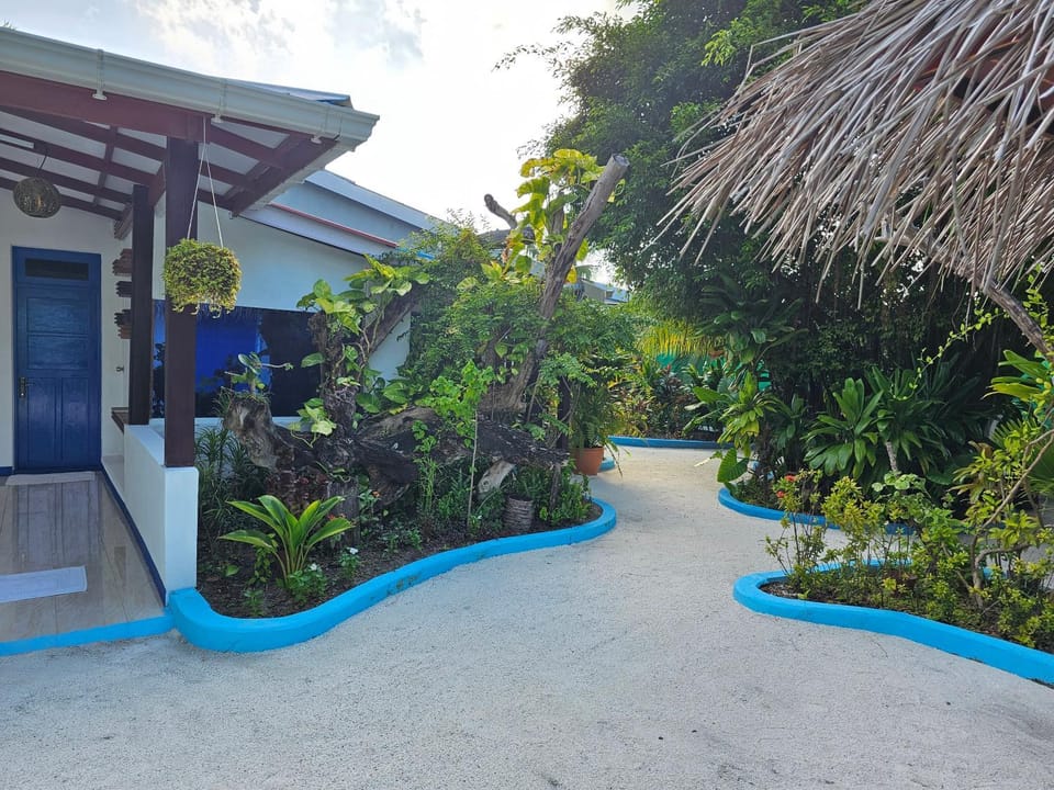 Area and facilities, Area and facilities