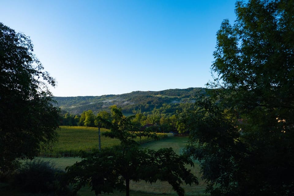 Natural landscape, Garden view