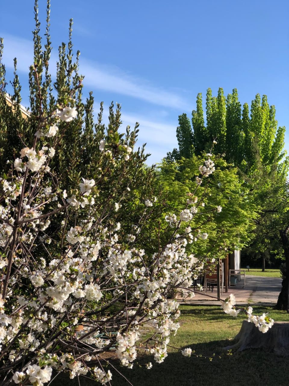 Natural landscape, Garden