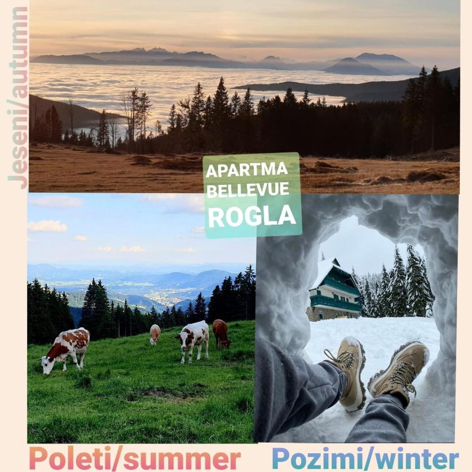 Apartma Bellevue Rogla Apartment in Slovenia