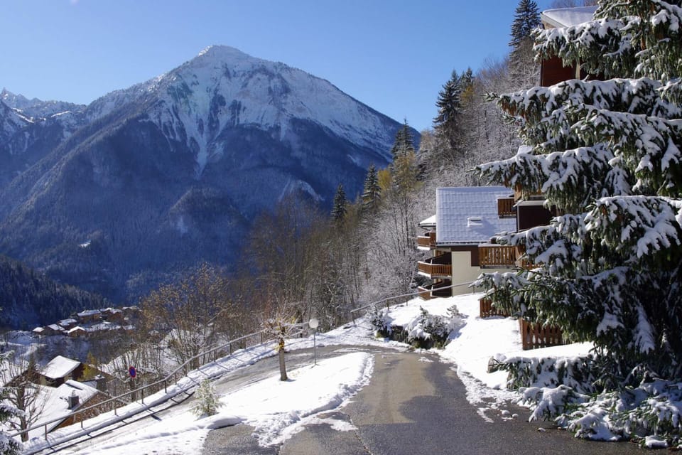 Résidence Dryades - Les Hauts De Planchamp - Studio pour 4 Personnes MAE-3341 Apartment in Champagny-en-Vanoise