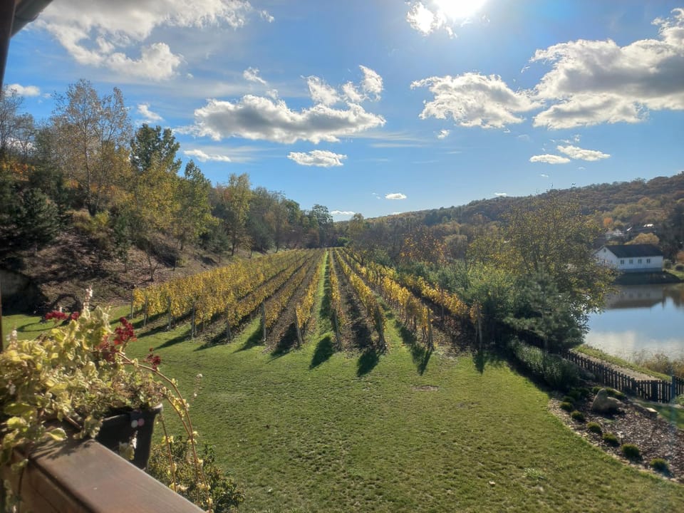 Garden, View (from property/room), Garden view