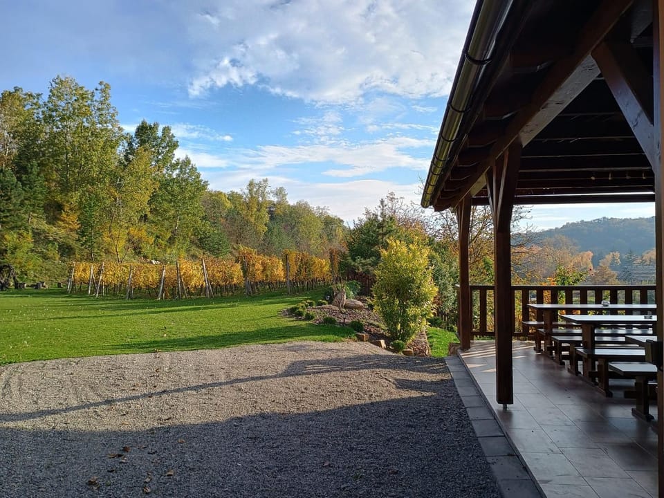 Garden, Seating area, Garden view