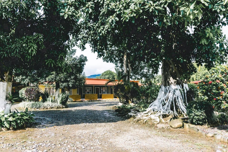 Property building, Facade/entrance, Garden