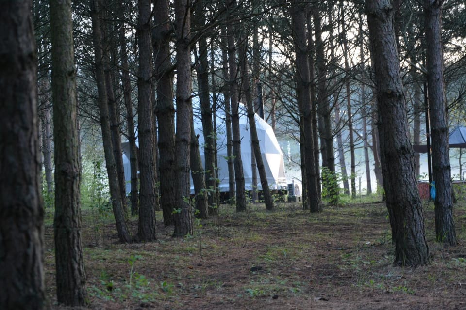 Property building, Natural landscape