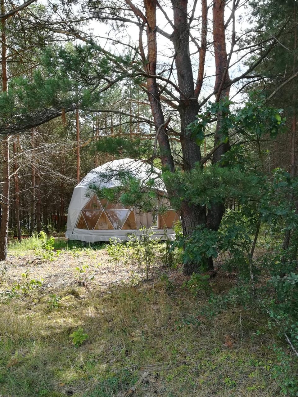 Property building, Natural landscape