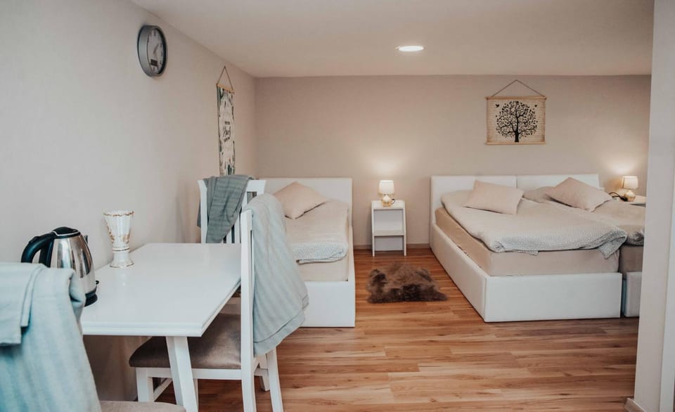 Shkodra apartment with amazing view in the city center Apartment in Montenegro