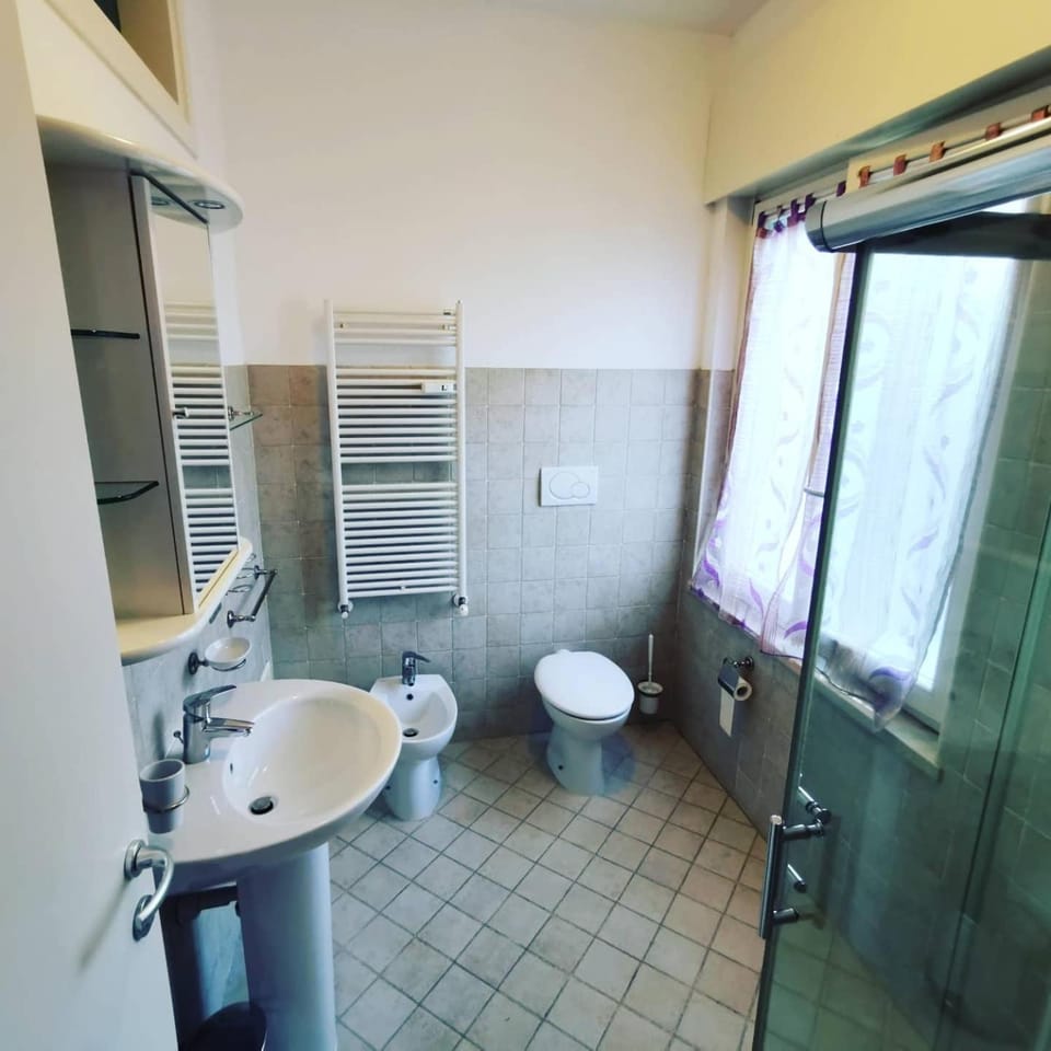 Shower, Toilet, Bathroom, bidet