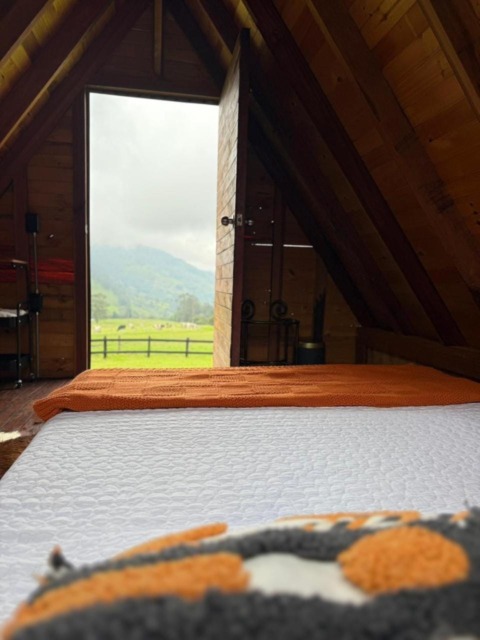 Bed