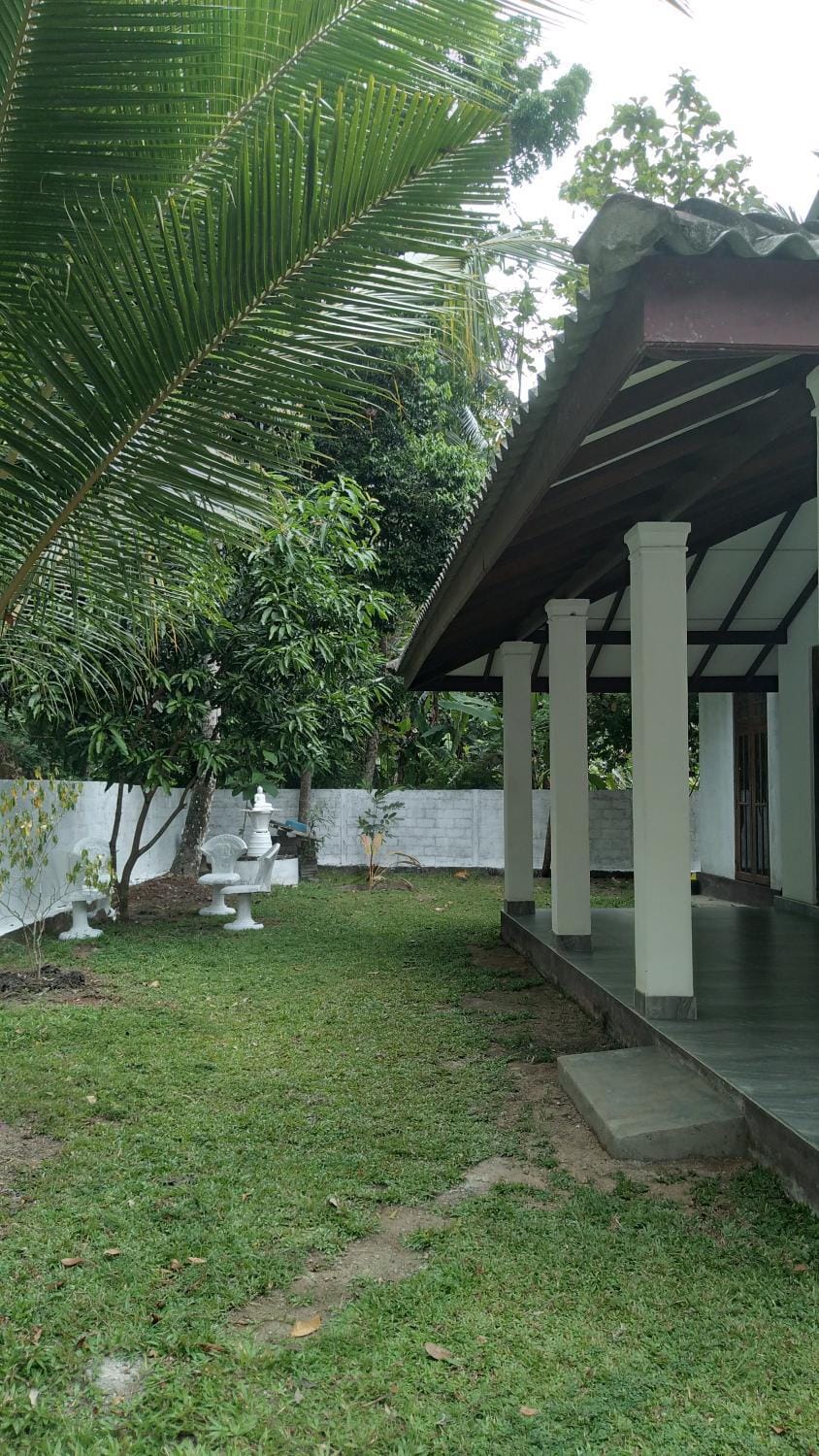 Lotus Hostel Hostel in Negombo
