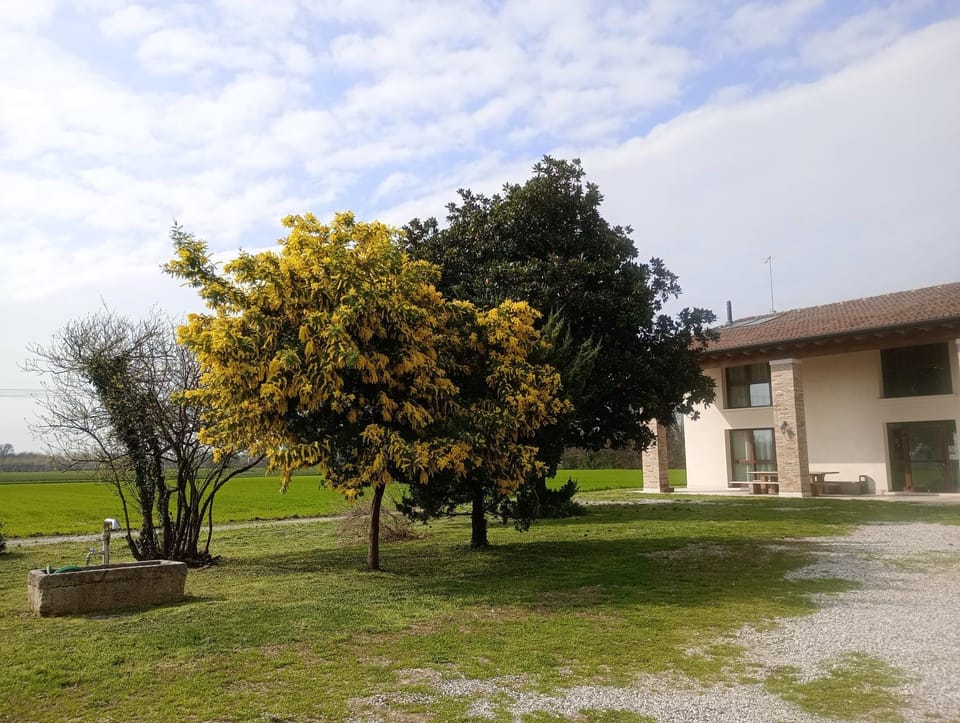 Property building, Natural landscape, Garden view