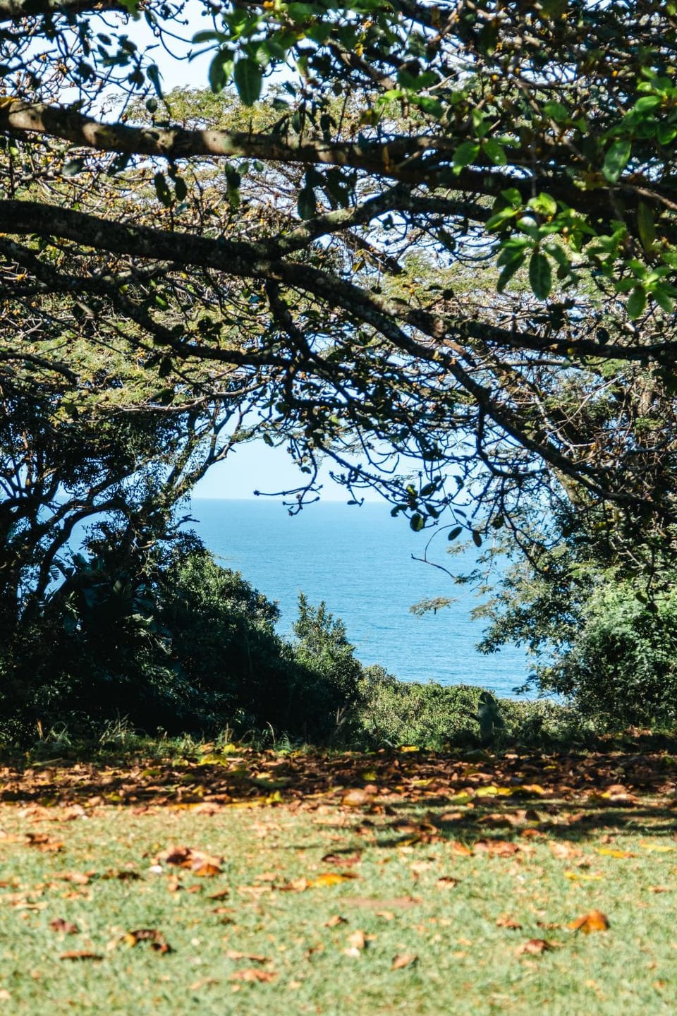 Sea view