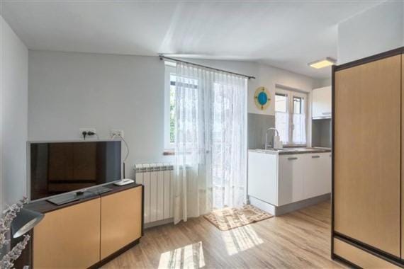Apartment Fig Tree Apartment in Medulin