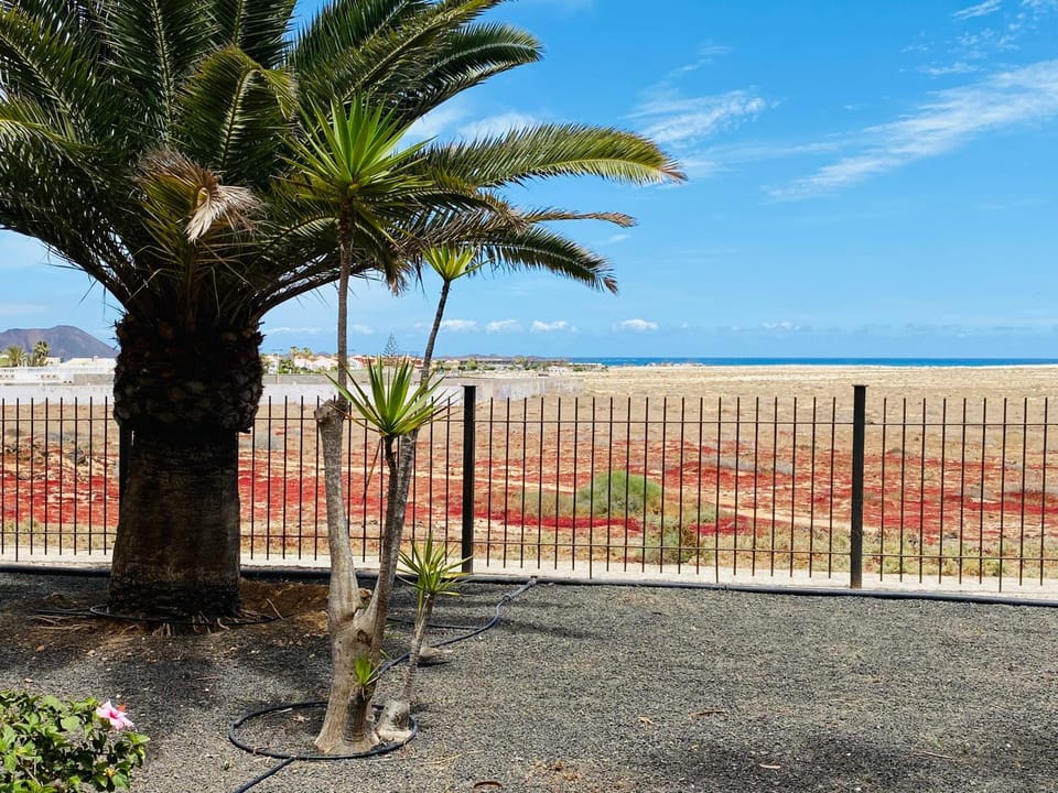 View (from property/room), Sea view